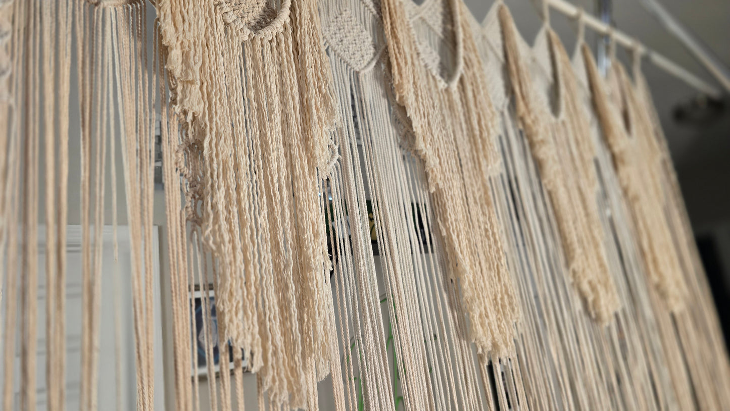 Macy - backdrop rental